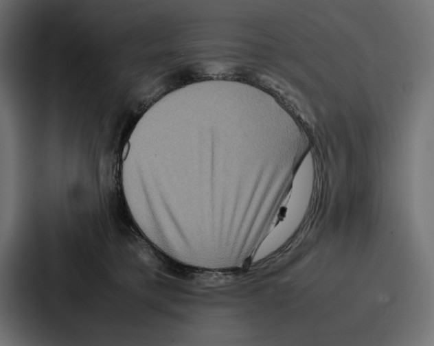 X0000086740421200705111639