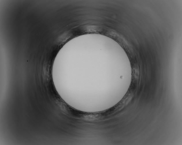 X0000086740422200705111639