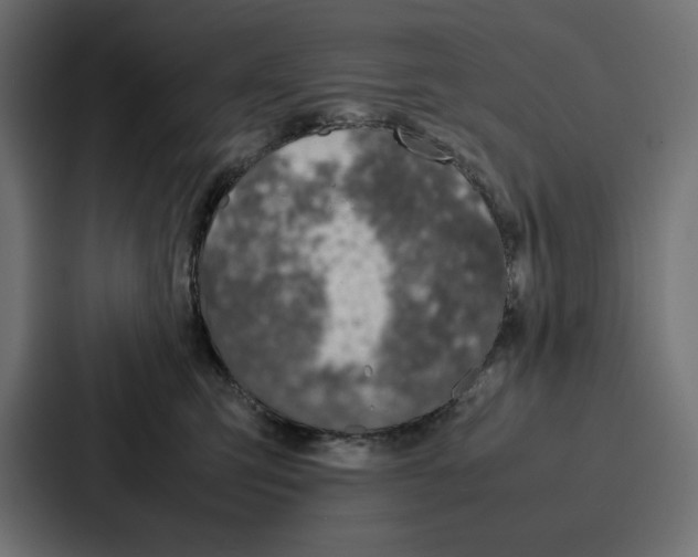X0000086740423200705111639