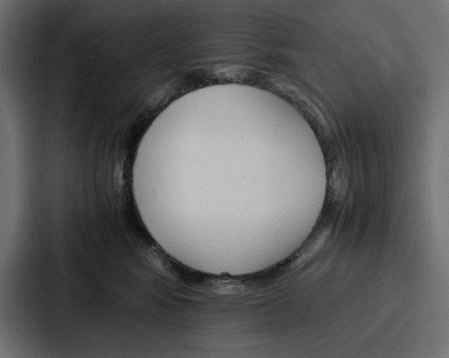X0000086740424200705111639