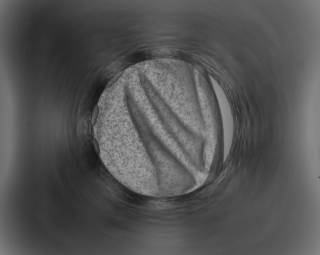X0000086740425200705111638