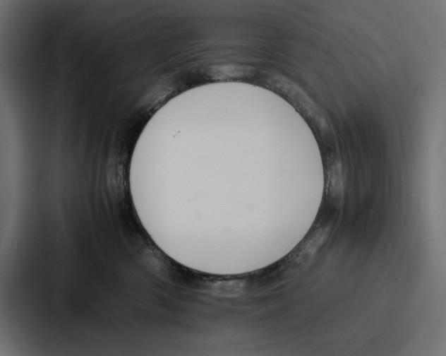 X0000086740426200705111638