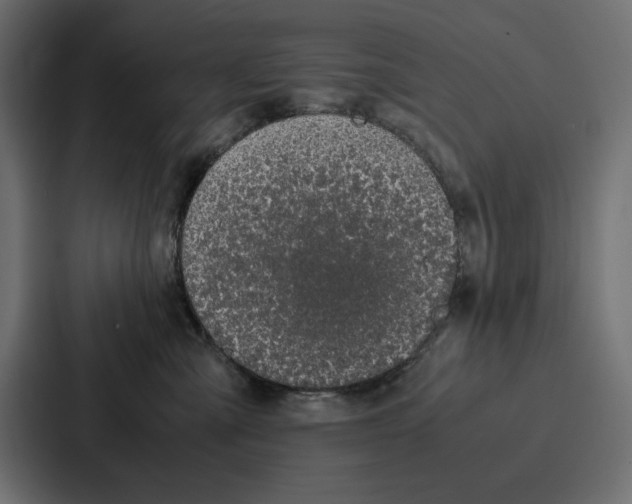 X0000086740427200705111638
