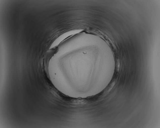 X0000086740428200705111638