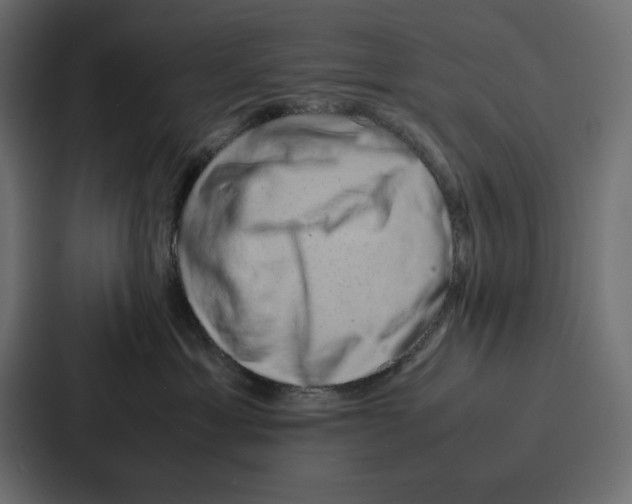 X0000086740429200705111638