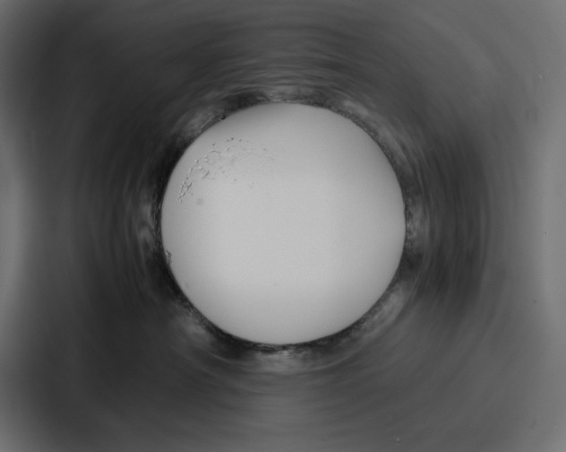 X0000086740430200705111638
