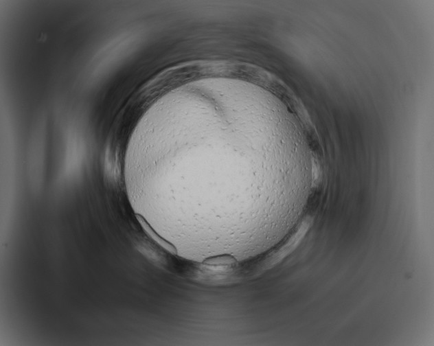 X0000086740431200705111638