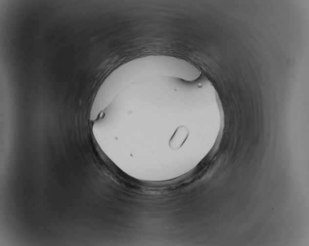 X0000086740432200705111638
