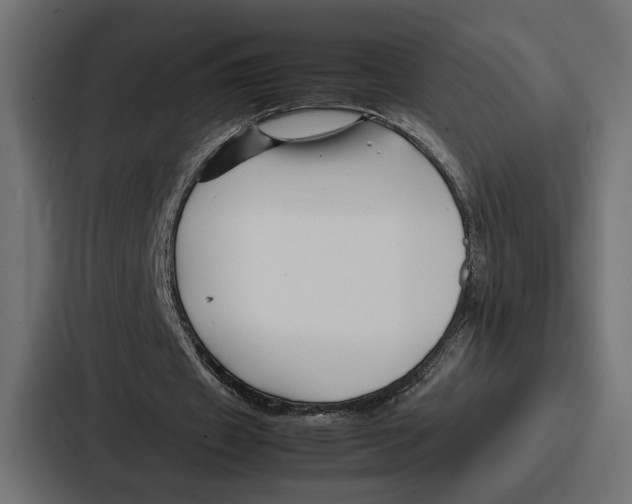 X0000086740433200705111638