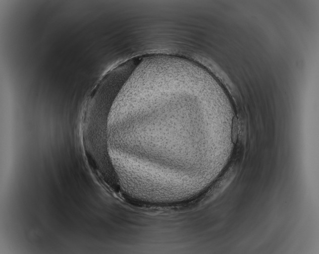 X0000086740434200705111638