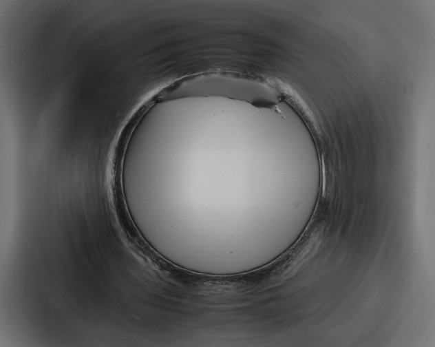 X0000086740435200705111638