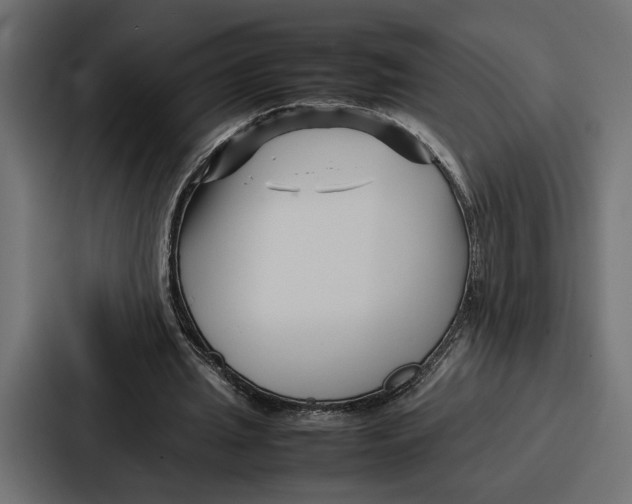 X0000086740437200705111638