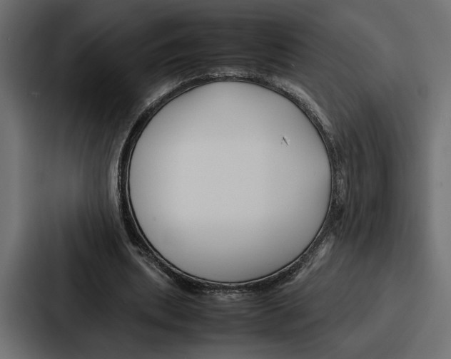 X0000086740439200705111638
