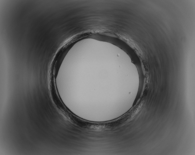 X0000086740440200705111638