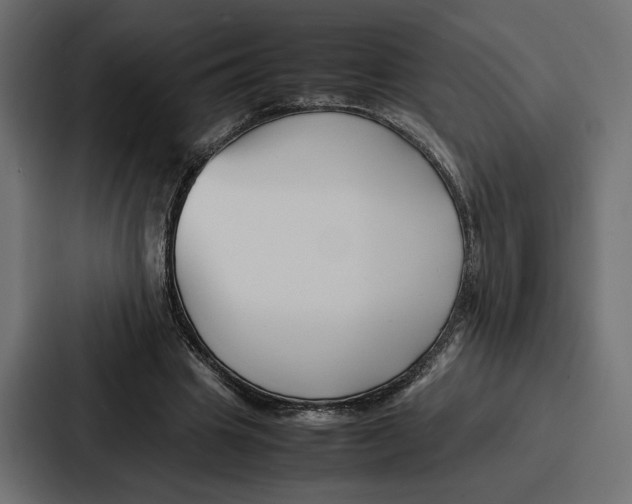 X0000086740441200705111638