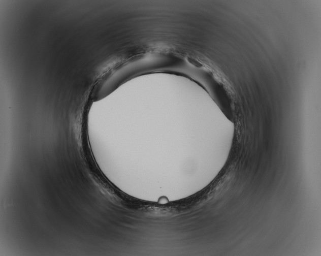 X0000086740442200705111638