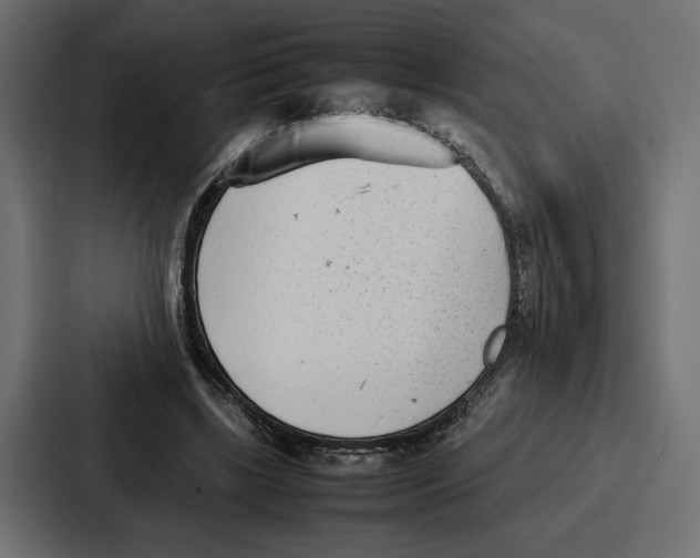 X0000086740443200705111638