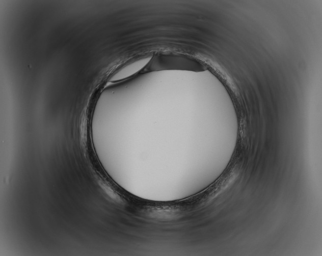 X0000086740445200705111638