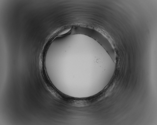 X0000086740446200705111638