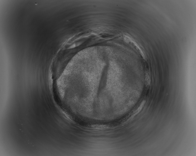 X0000086740448200705111638