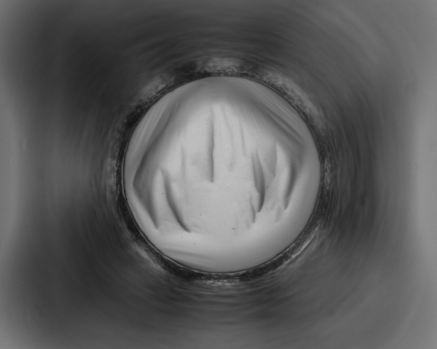 X0000086740449200705111638