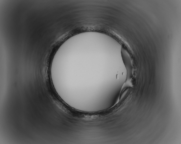 X0000086740450200705111638