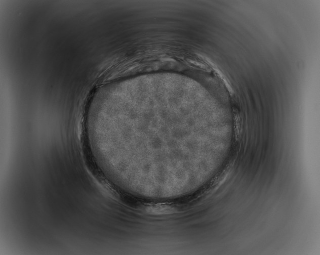X0000086740451200705111638