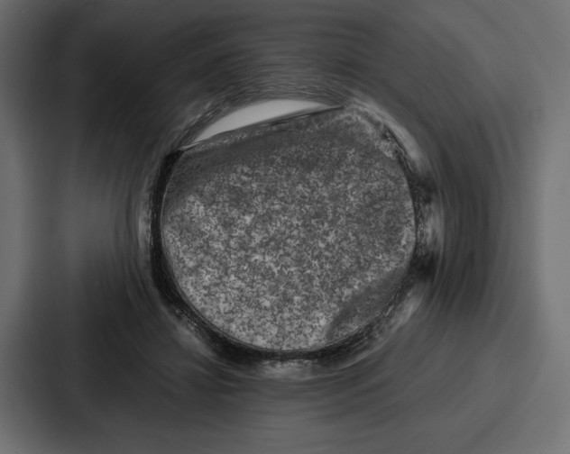X0000086740452200705111638