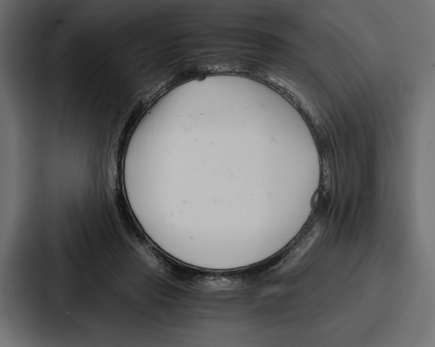 X0000086740453200705111638