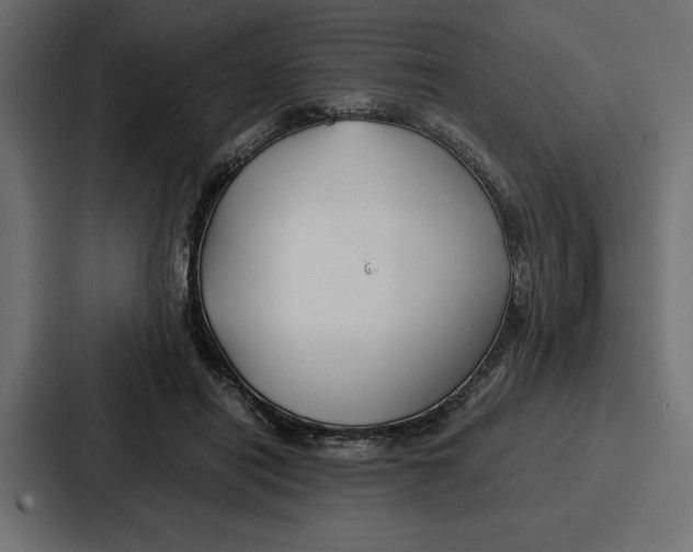 X0000086740454200705111638