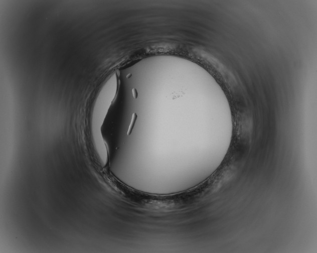 X0000086740455200705111638