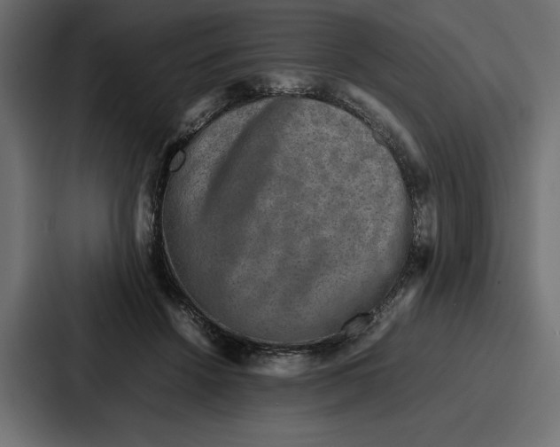 X0000086740456200705111638