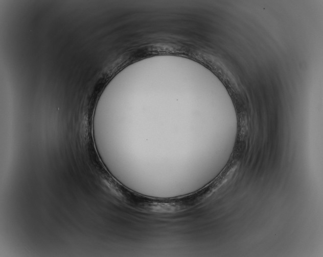 X0000086740457200705111638