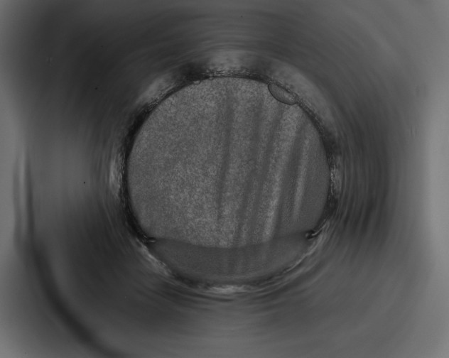 X0000086740458200705111638