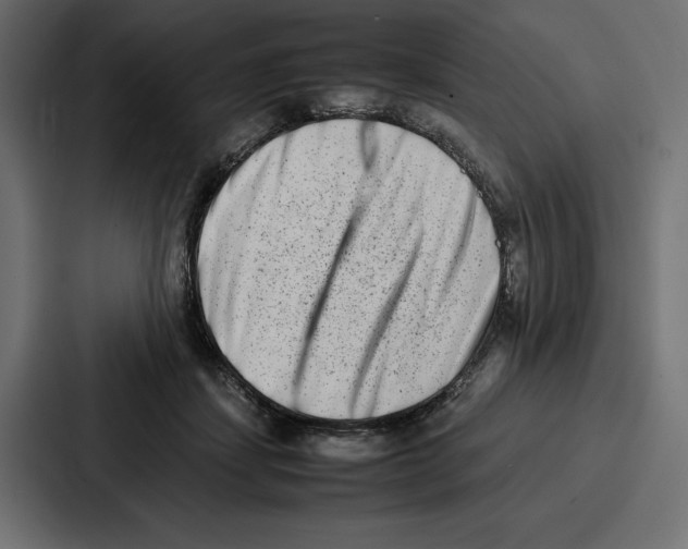 X0000086740459200705111638