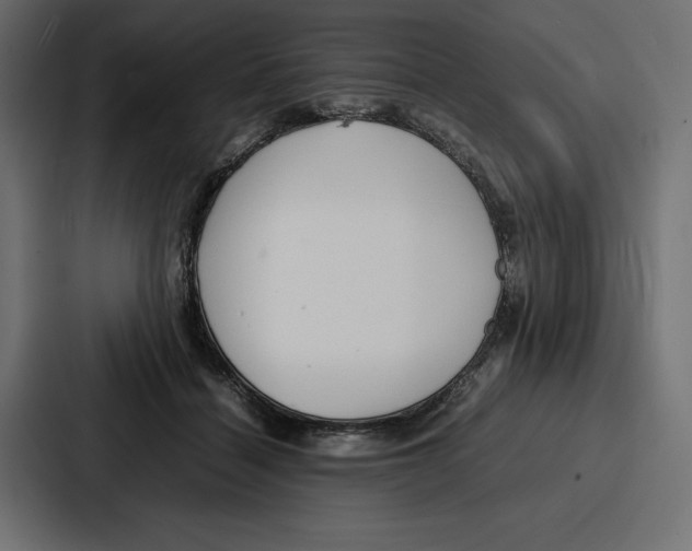 X0000086740460200705111638