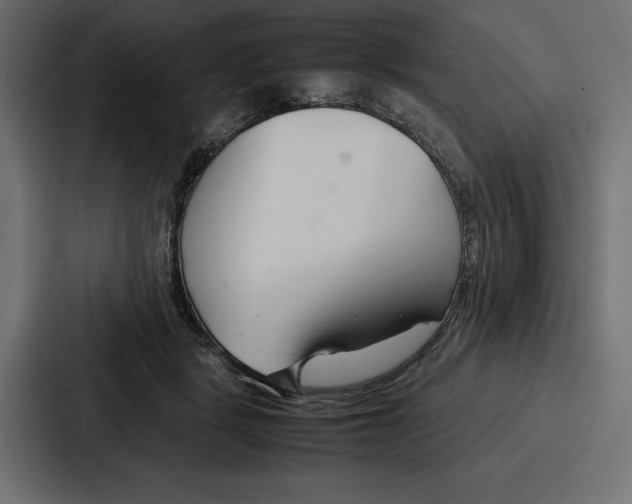 X0000086740461200705111638