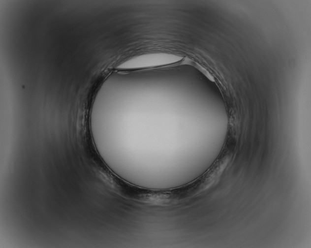 X0000086740462200705111638