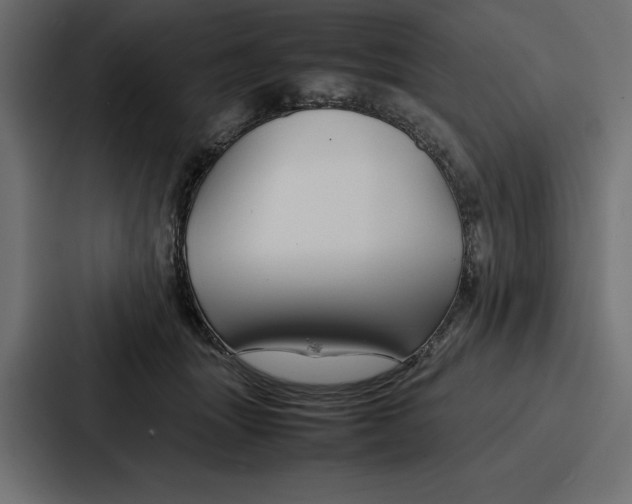 X0000086740463200705111638
