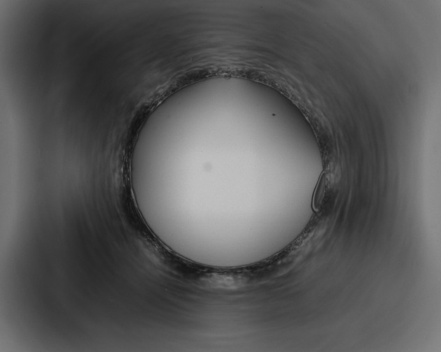 X0000086740464200705111638
