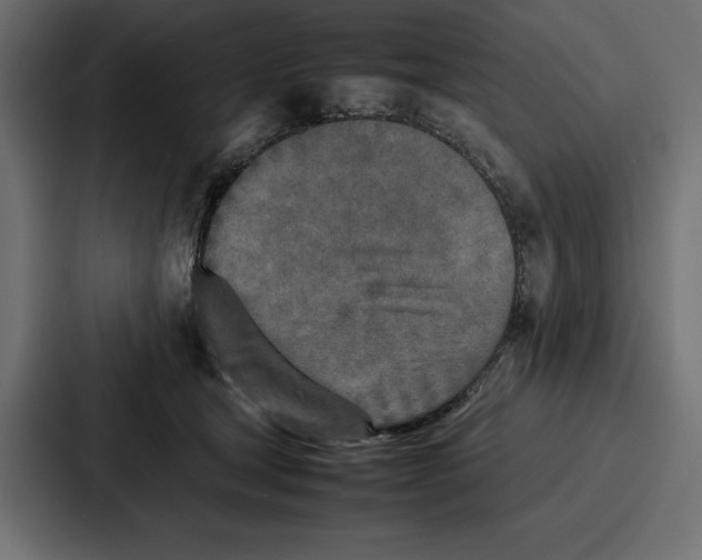 X0000086740465200705111638