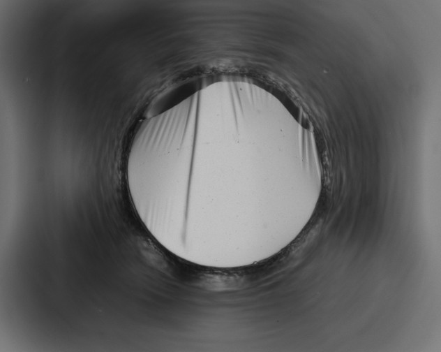 X0000086740466200705111638
