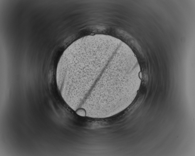 X0000086740468200705111638