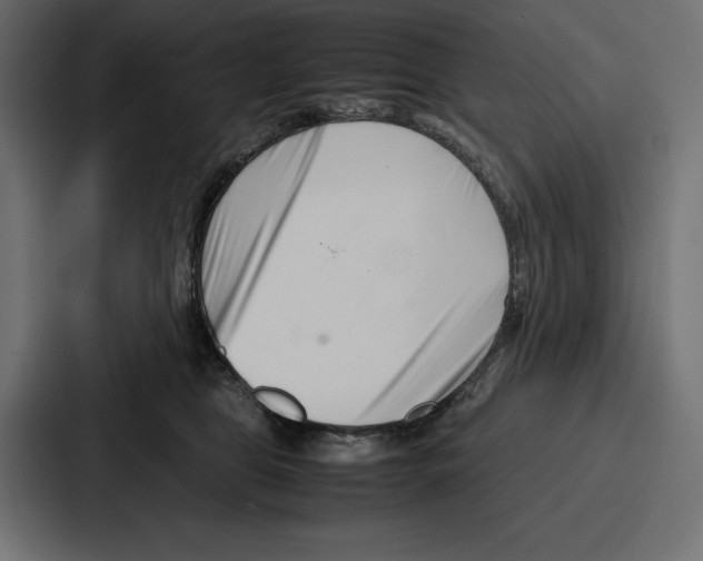 X0000086740469200705111638