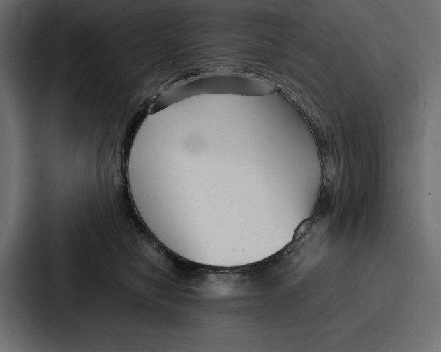 X0000086740470200705111638