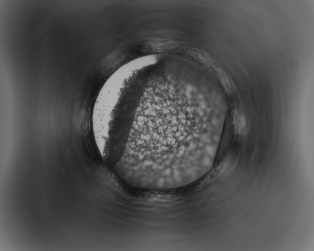 X0000086740471200705111638
