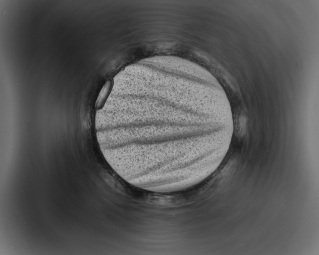 X0000086740472200705111638