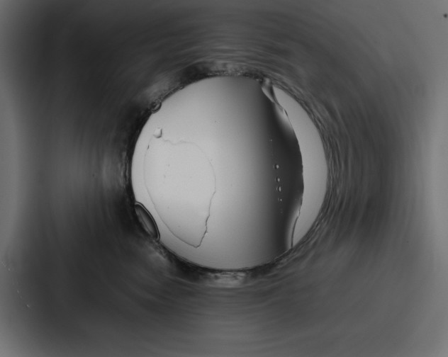 X0000086740474200705111638