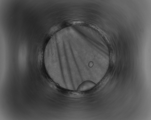 X0000086740475200705111638