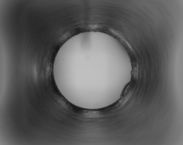 X0000086740476200705111638